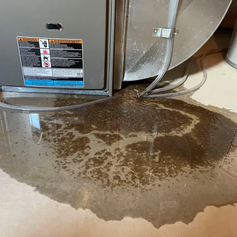 Appliance Leak Cleanup in Kimberling City, MO