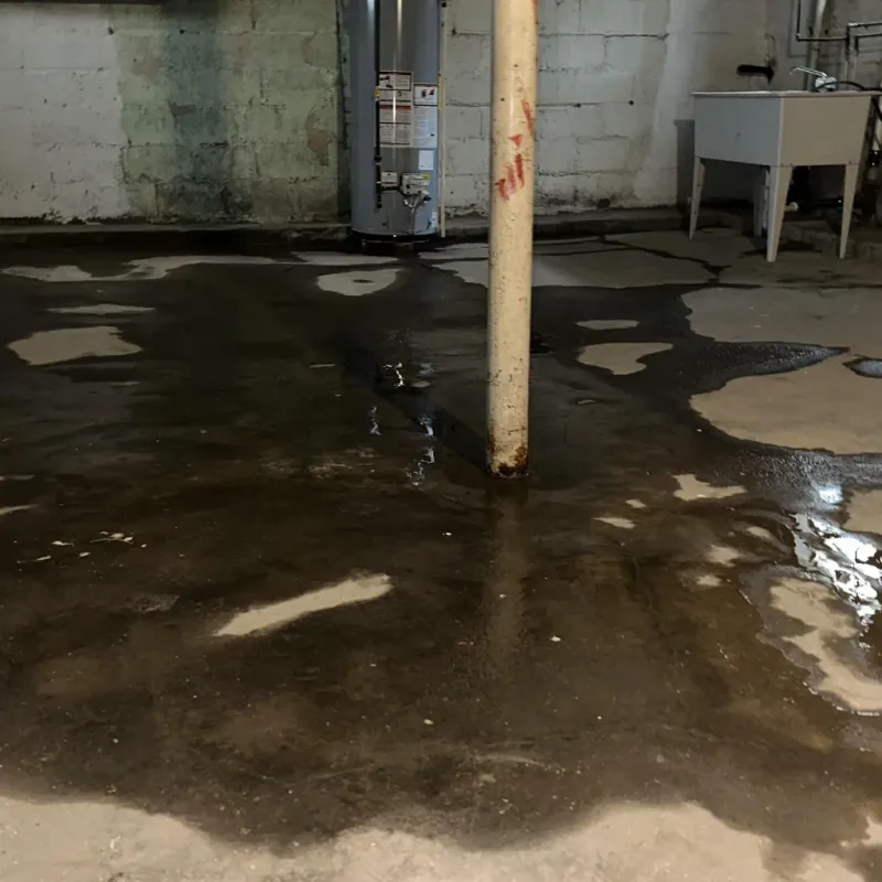 Emergency Water Extraction And Removal in Kimberling City, MO
